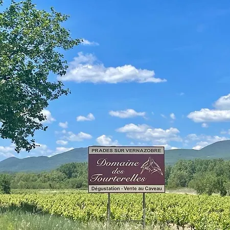 Boutique Studio Voor 2 Personen Prades-sur-Vernazobre